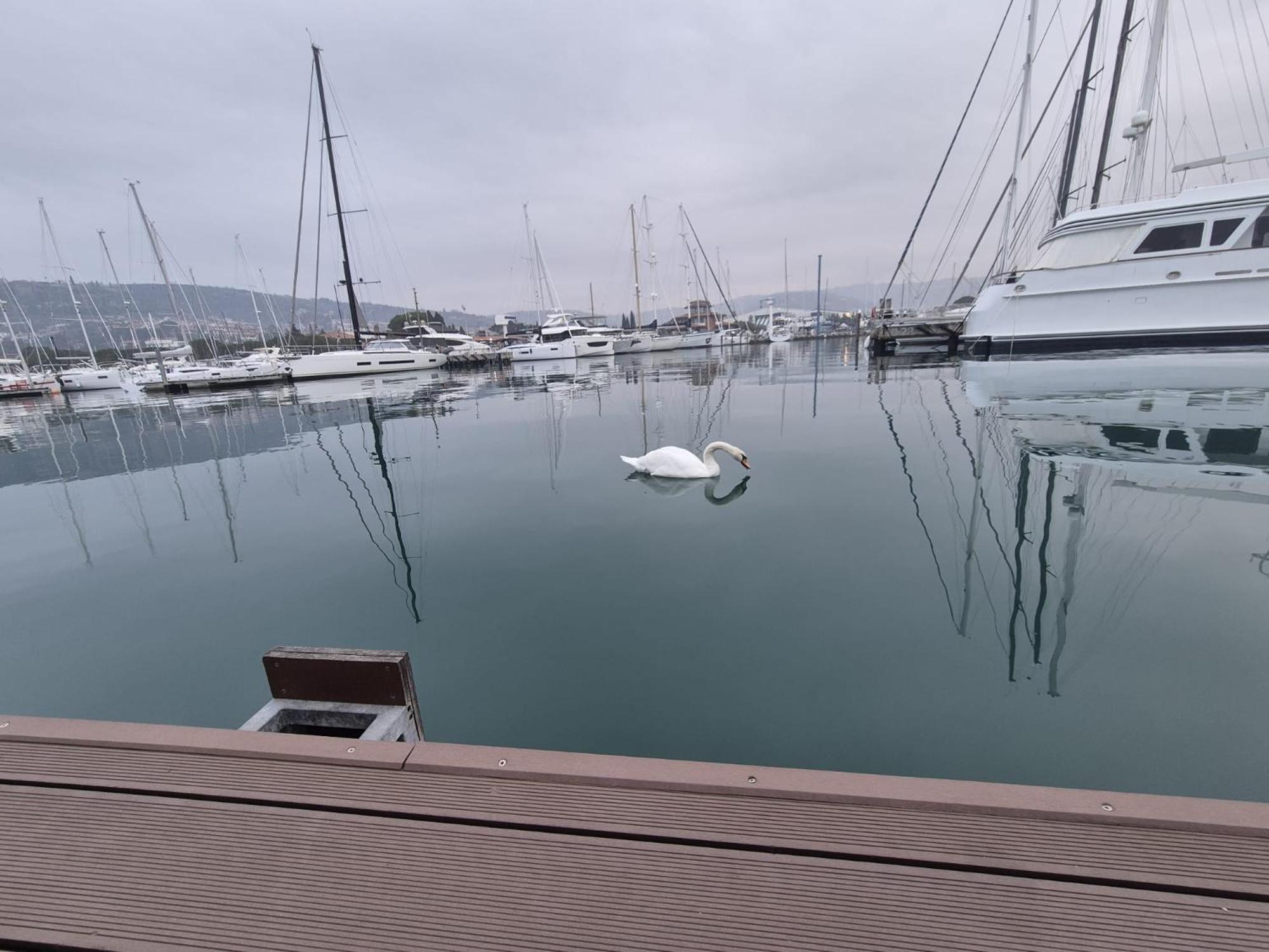 Villa Floating Sea House Aurora Portorož Exterior foto