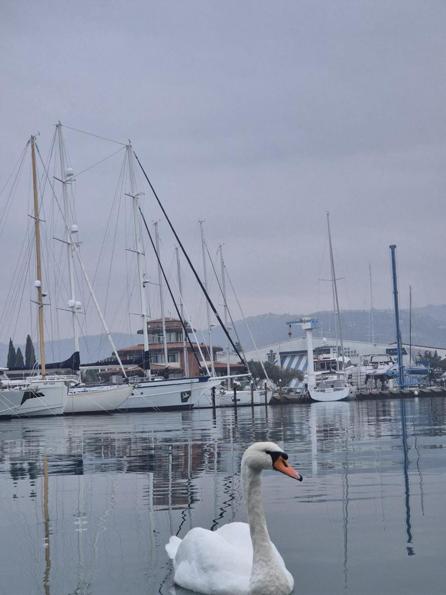 Villa Floating Sea House Aurora Portorož Exterior foto