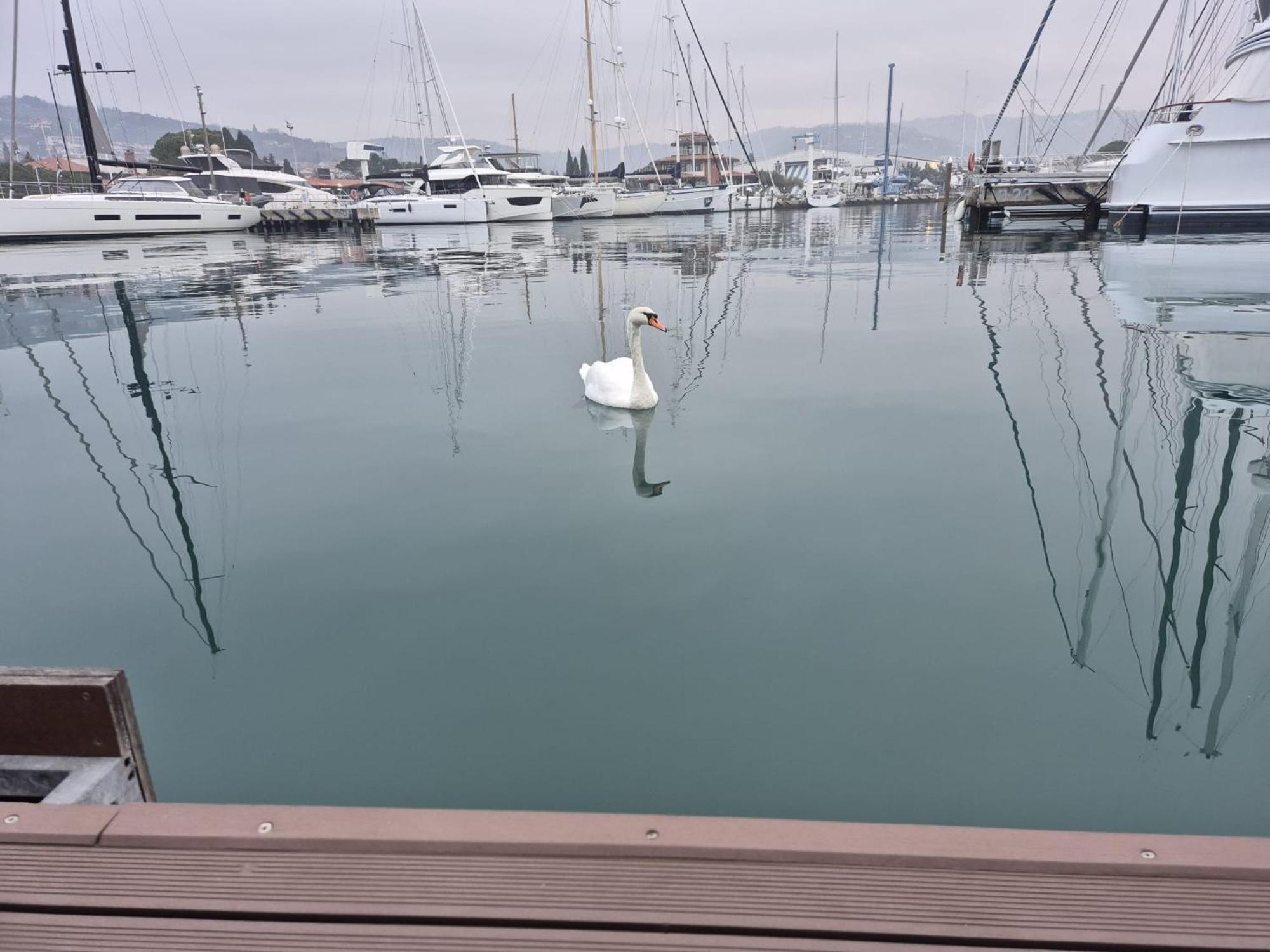 Villa Floating Sea House Aurora Portorož Exterior foto